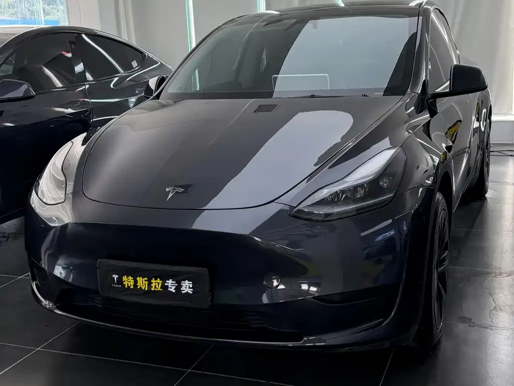 Tesla Model Y — фото 1