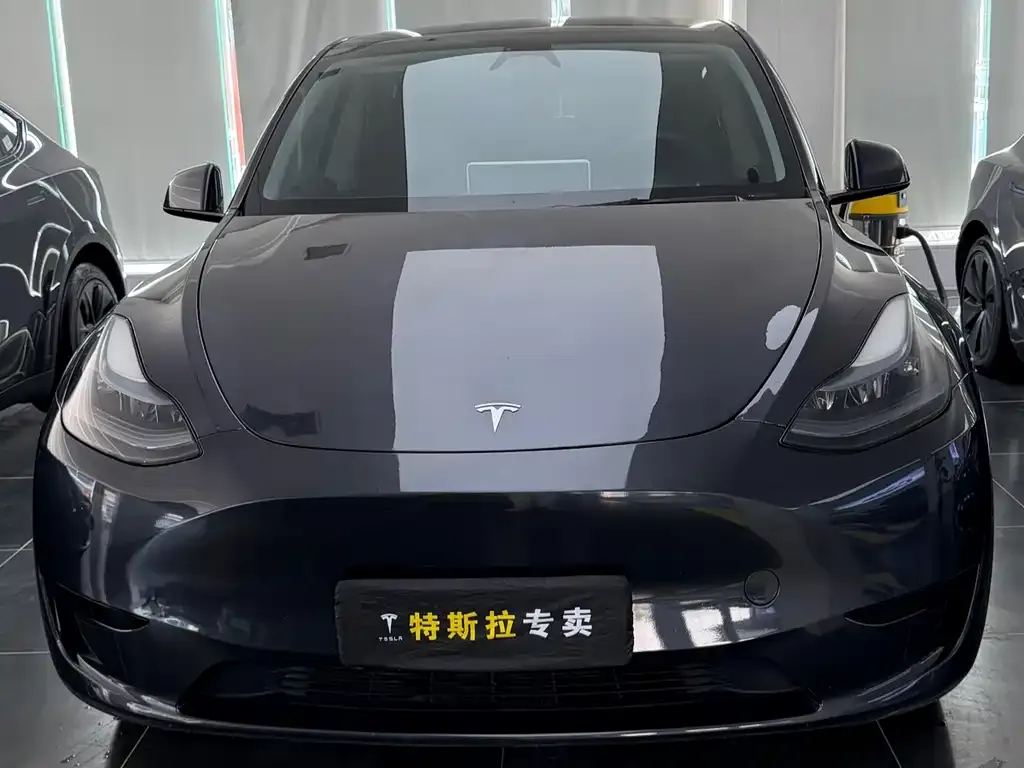 Tesla Model Y — фото 4