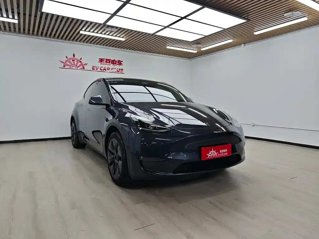 Tesla Model Y — фото 10