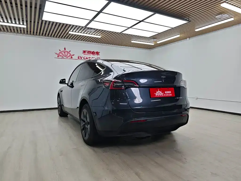 Tesla Model Y — фото 4