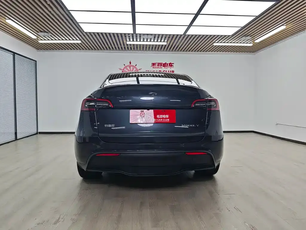 Tesla Model Y — фото 9