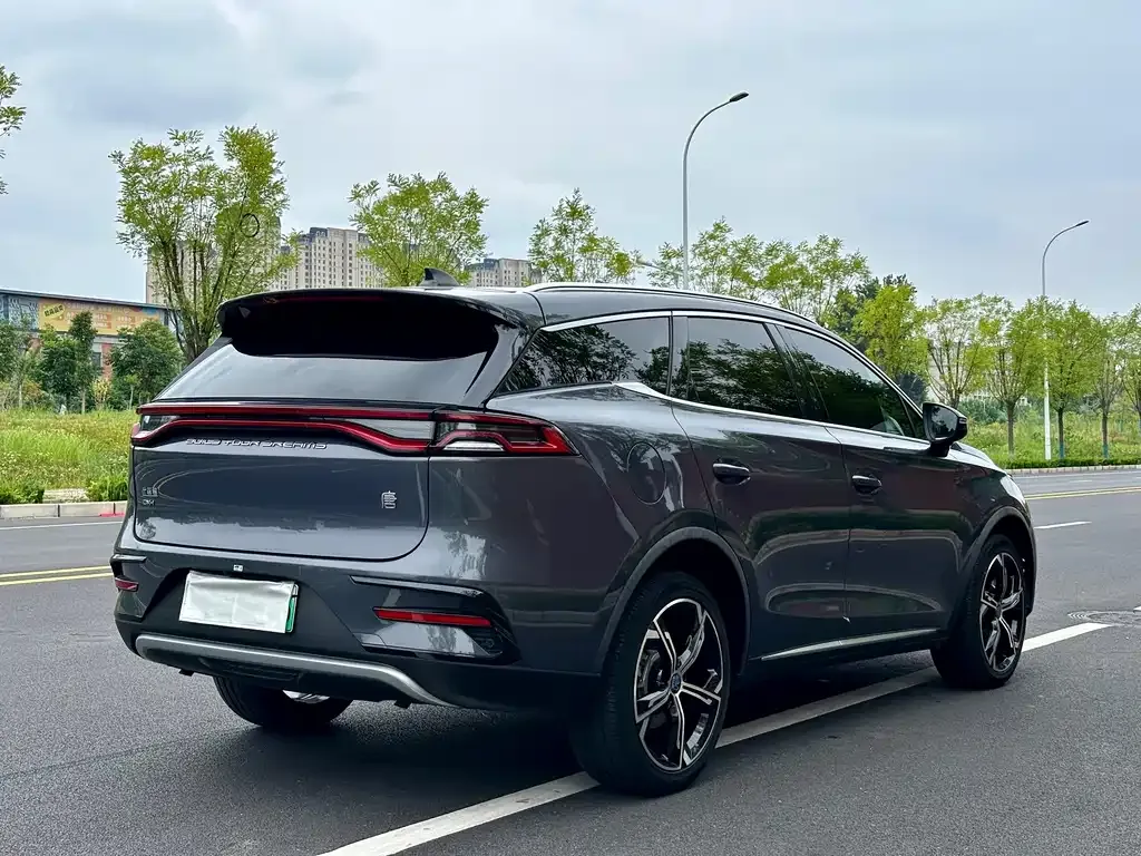 BYD Tang New Energy — фото 10