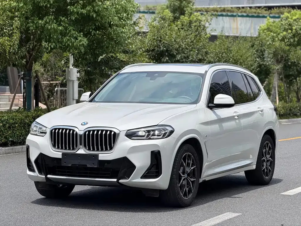 BMW X3 — фото 1
