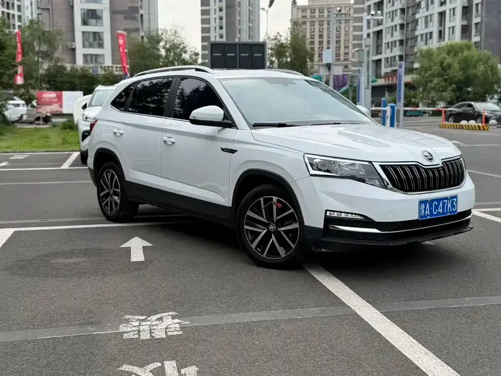 Skoda Kamiq — фото 8