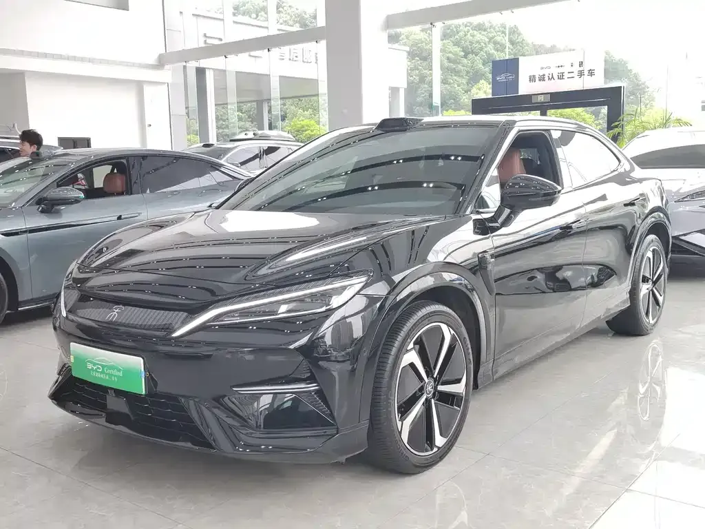 BYD L EV