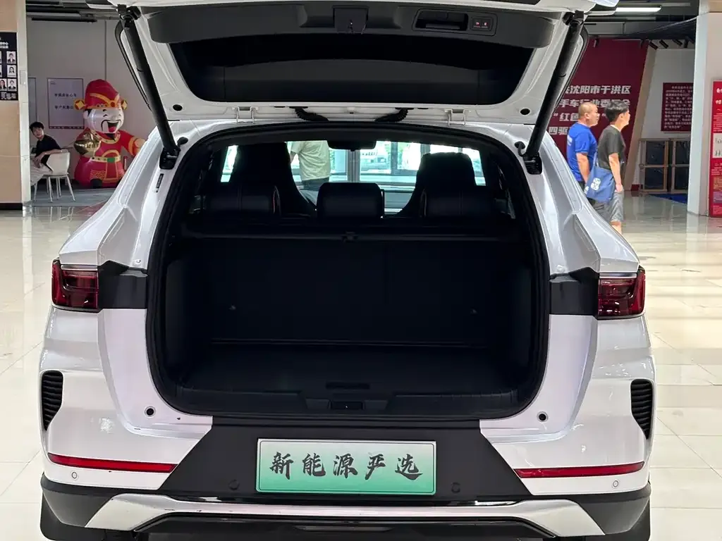 BYD PLUS New Energy — фото 6