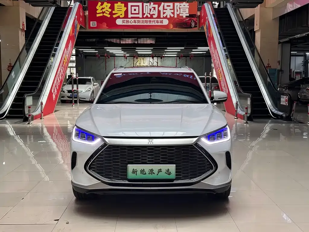 BYD PLUS New Energy — фото 4