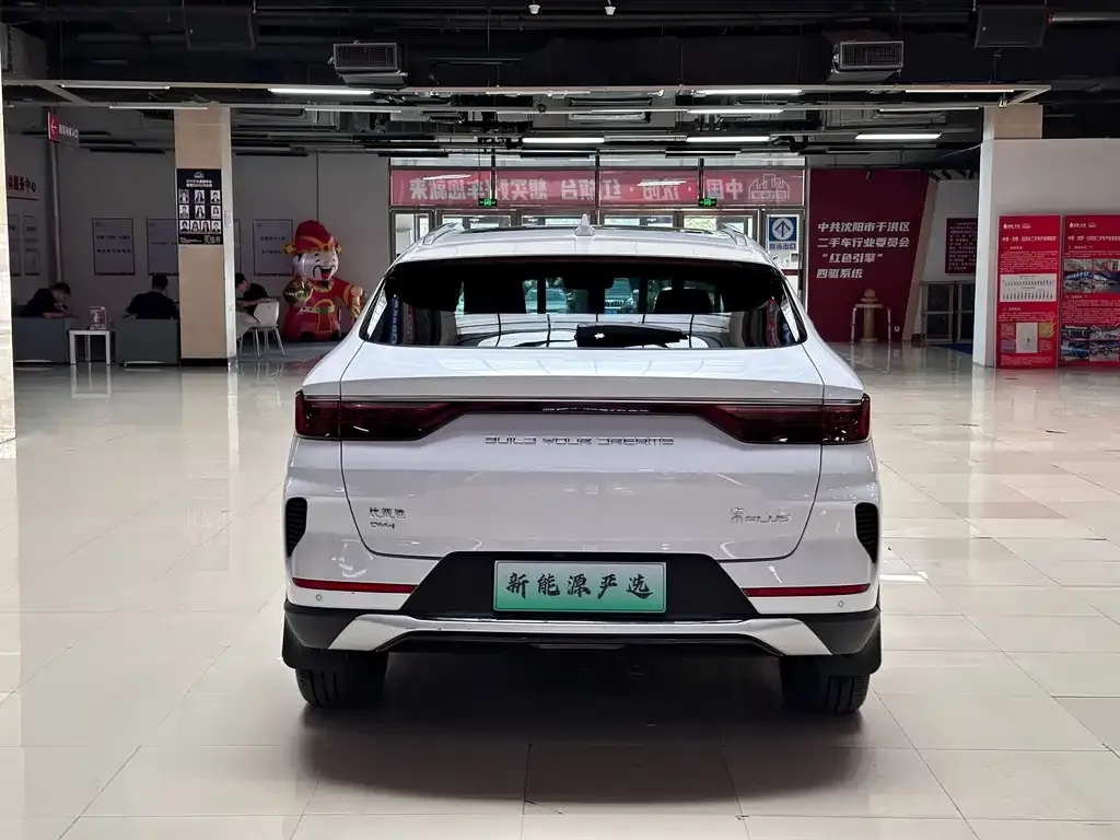 BYD PLUS New Energy — фото 3
