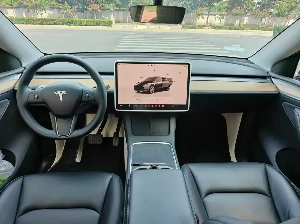 Tesla Model Y — фото 10