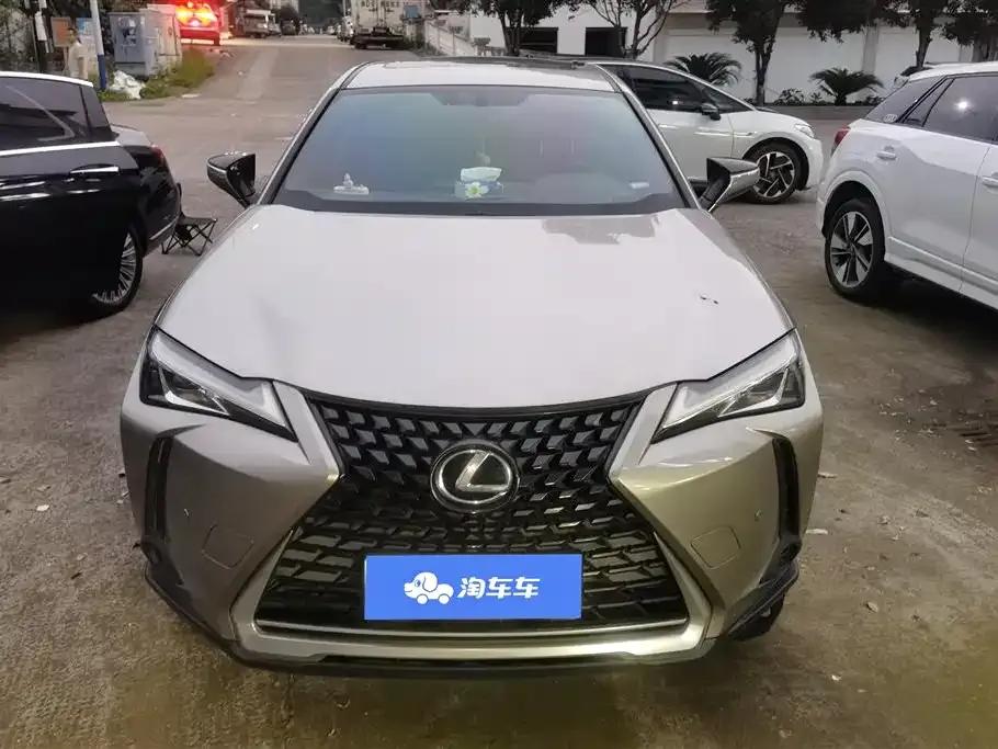 Lexus UX 2021 из CN, фото 8