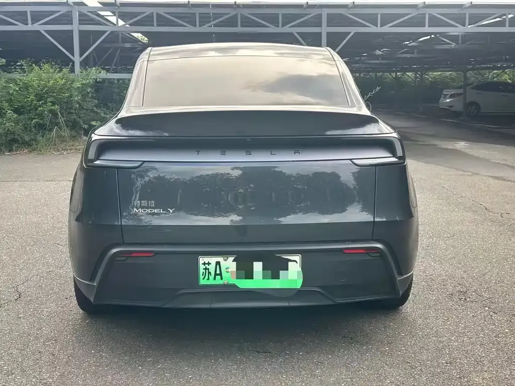 Tesla Model Y — фото 5