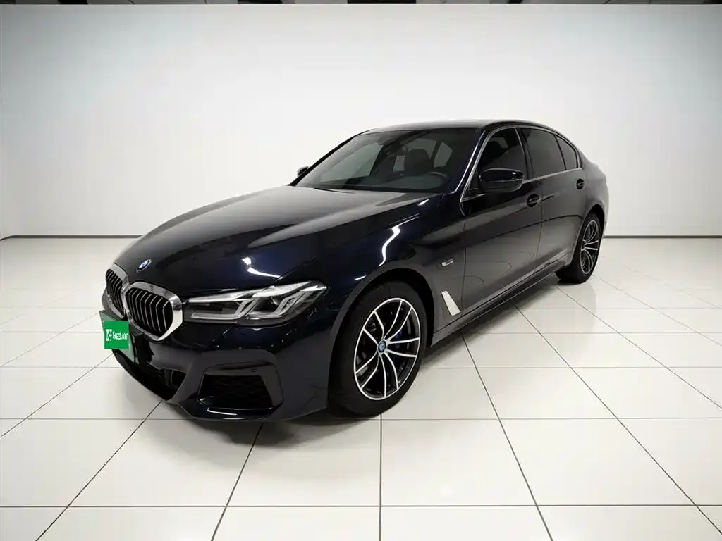 BMW 5 Series New Energy — фото 1