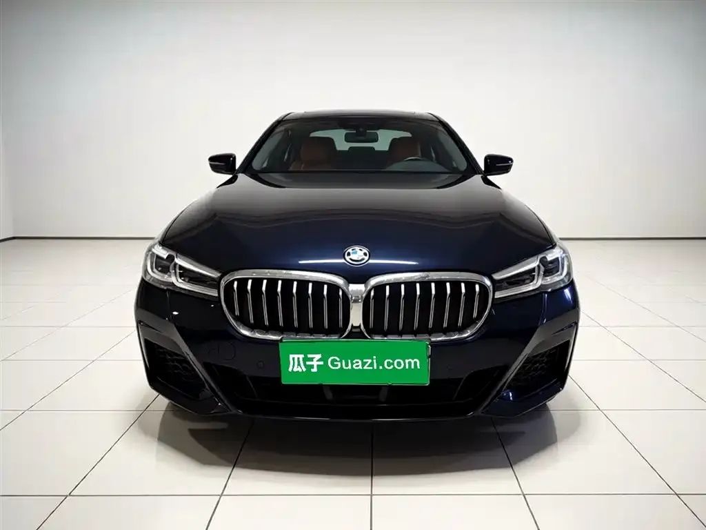 BMW 5 Series New Energy — фото 6