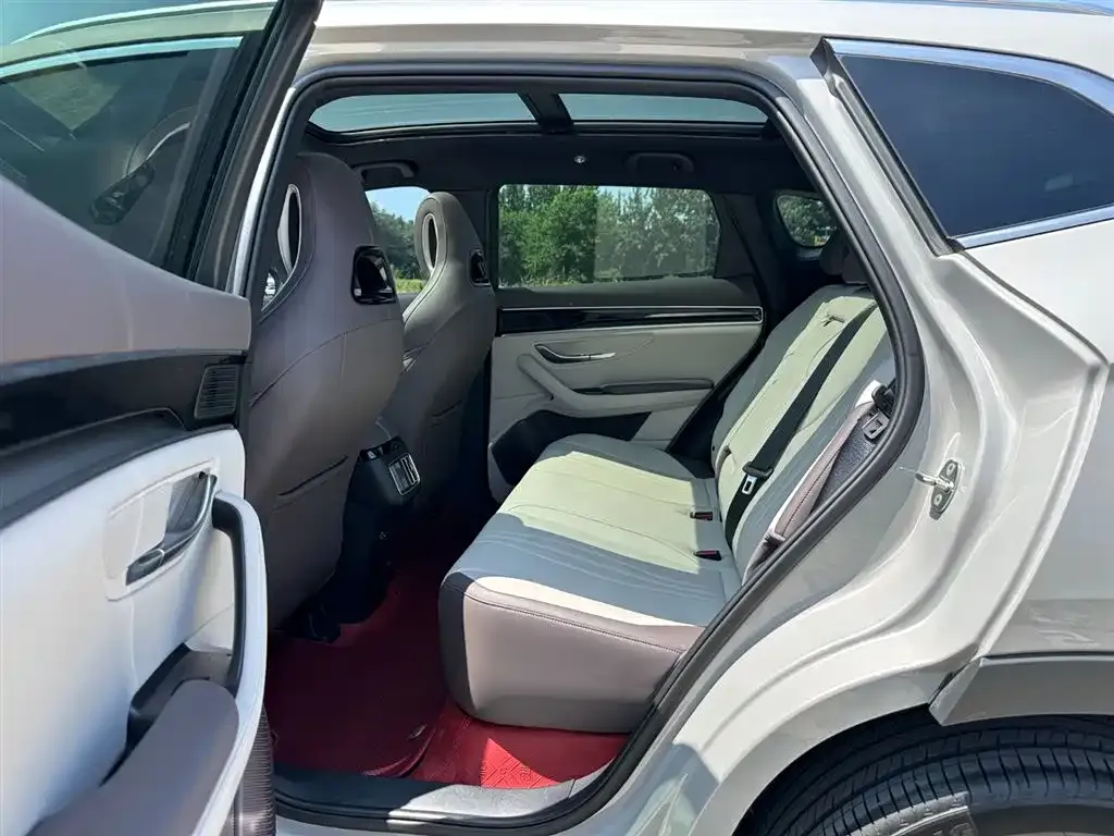 BYD PLUS New Energy — фото 10