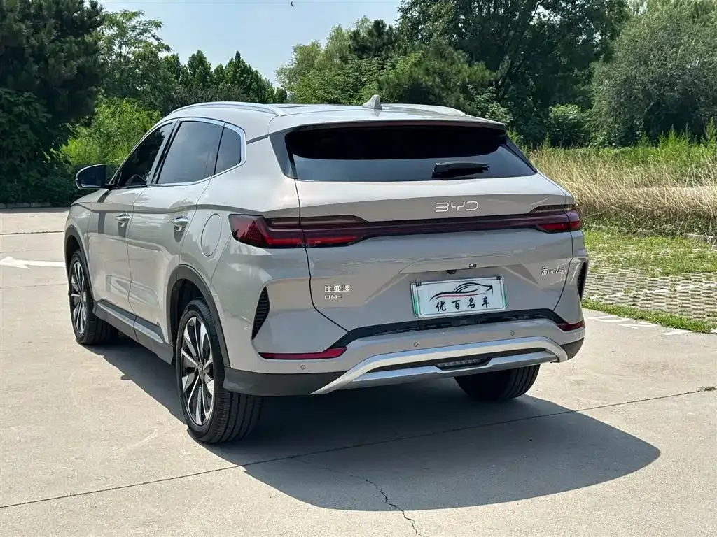 BYD PLUS New Energy — фото 4
