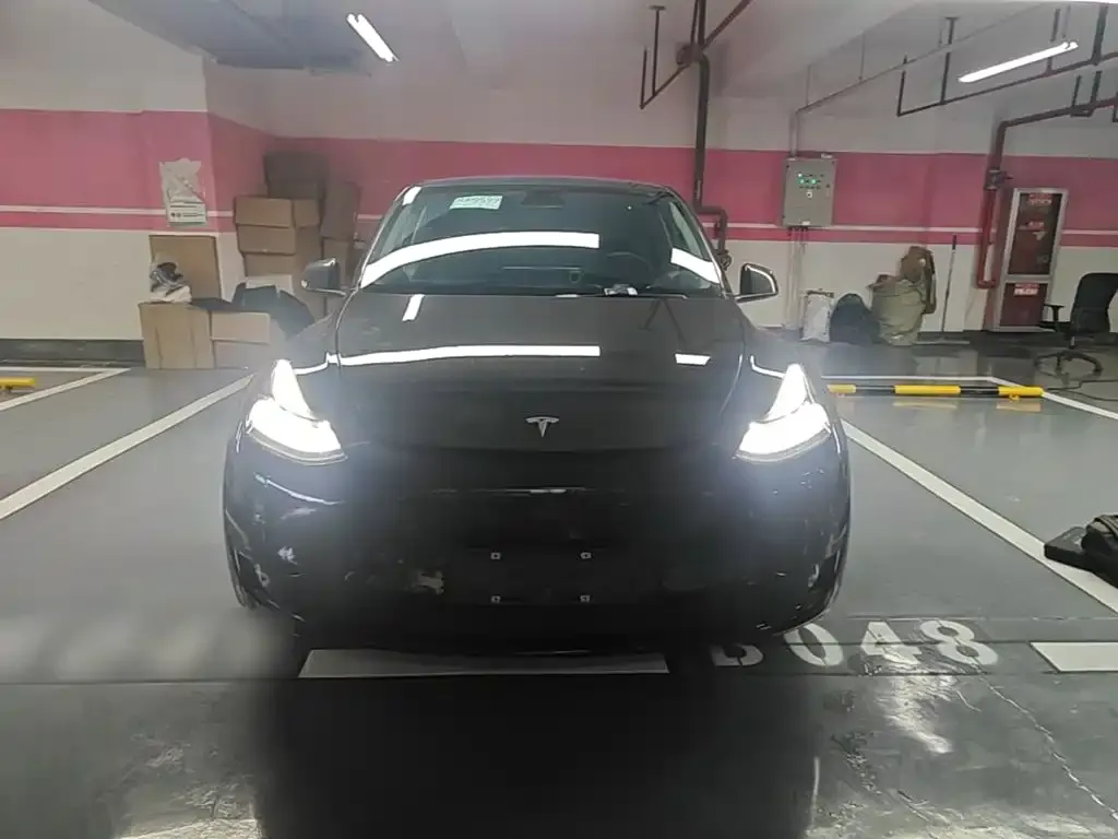 Tesla Model Y — фото 10