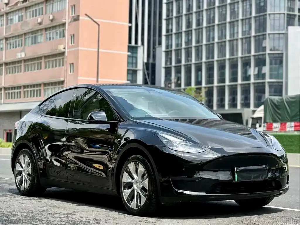 Tesla Model Y — фото 1