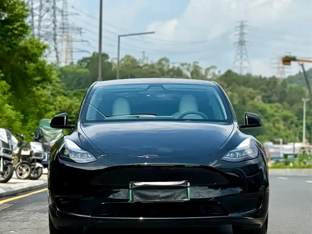 Tesla Model Y — фото 6