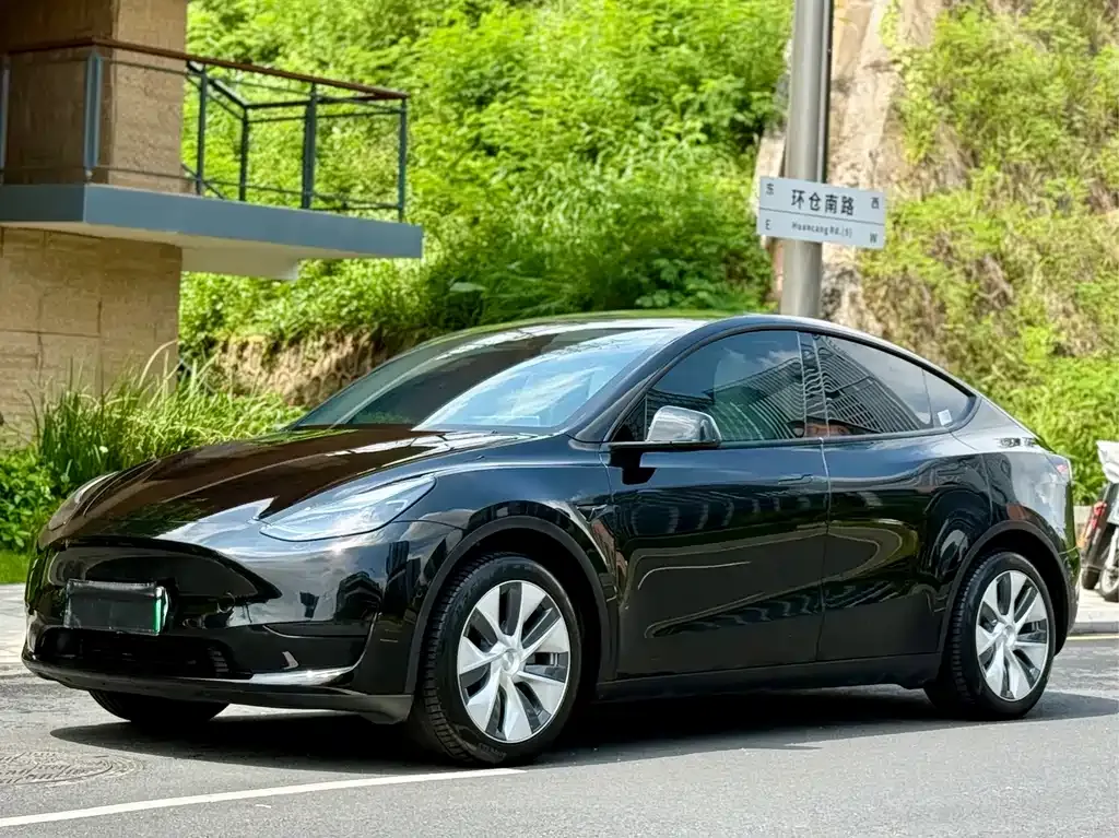 Tesla Model Y — фото 8