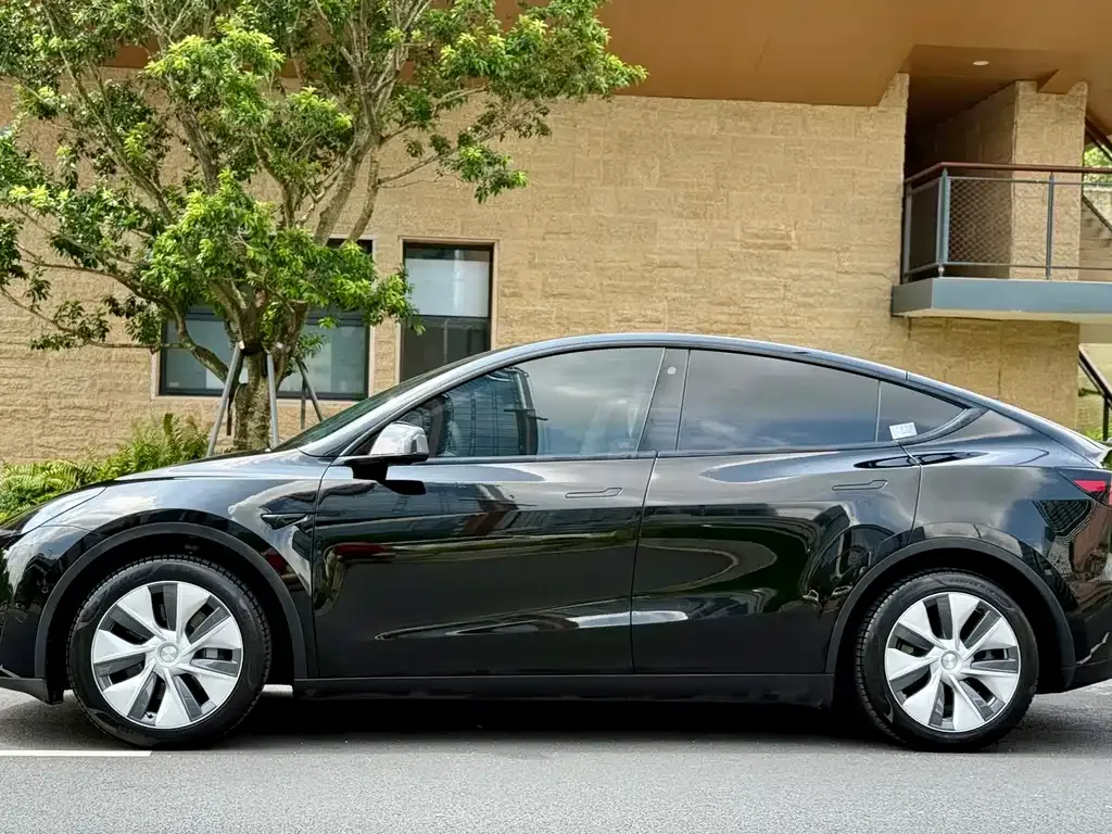 Tesla Model Y — фото 10