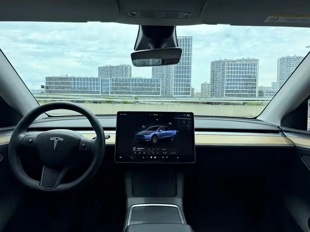 Tesla Model Y — фото 5