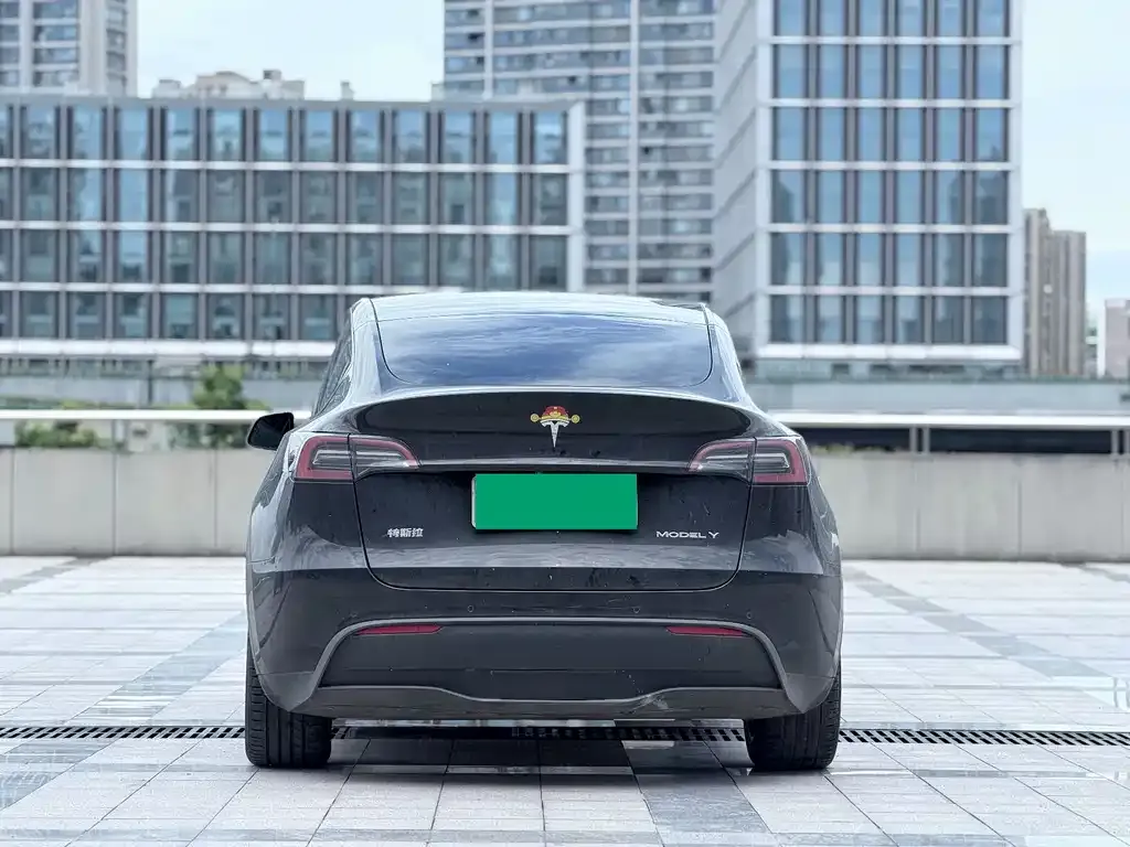 Tesla Model Y — фото 3