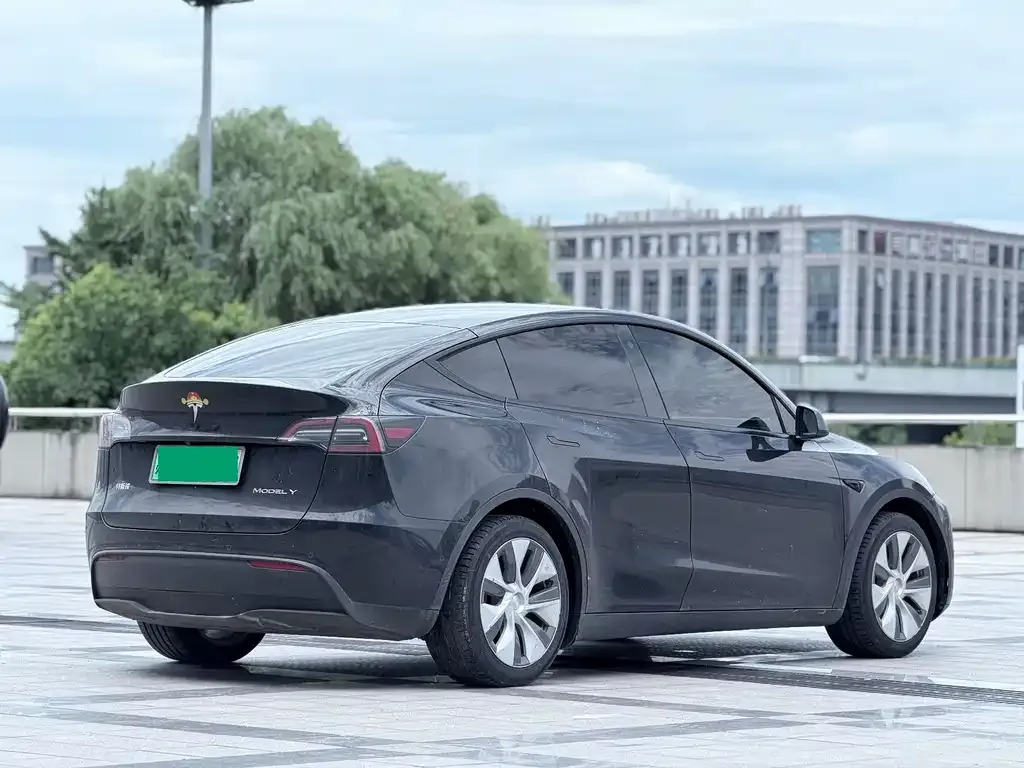 Tesla Model Y — фото 10