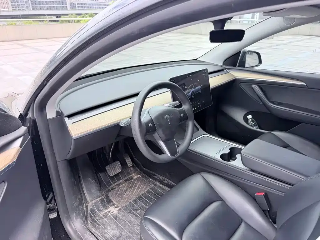 Tesla Model Y — фото 9