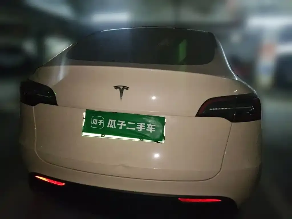 Tesla Model Y — фото 5