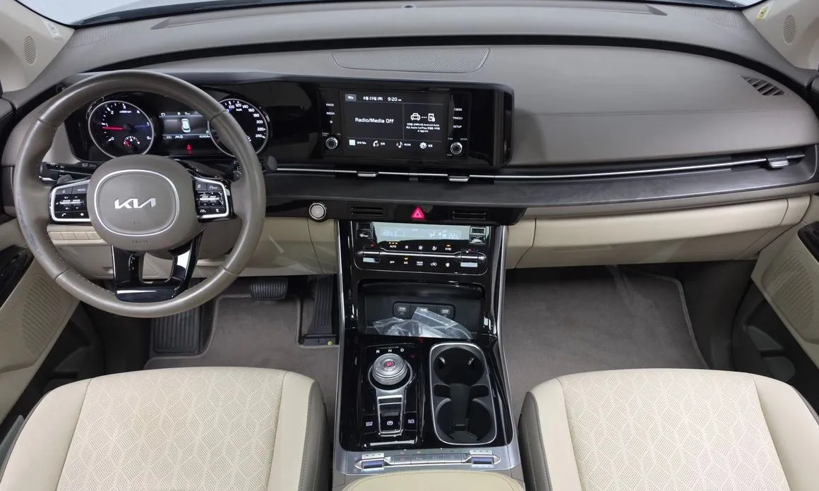 Kia Carnival — фото 10