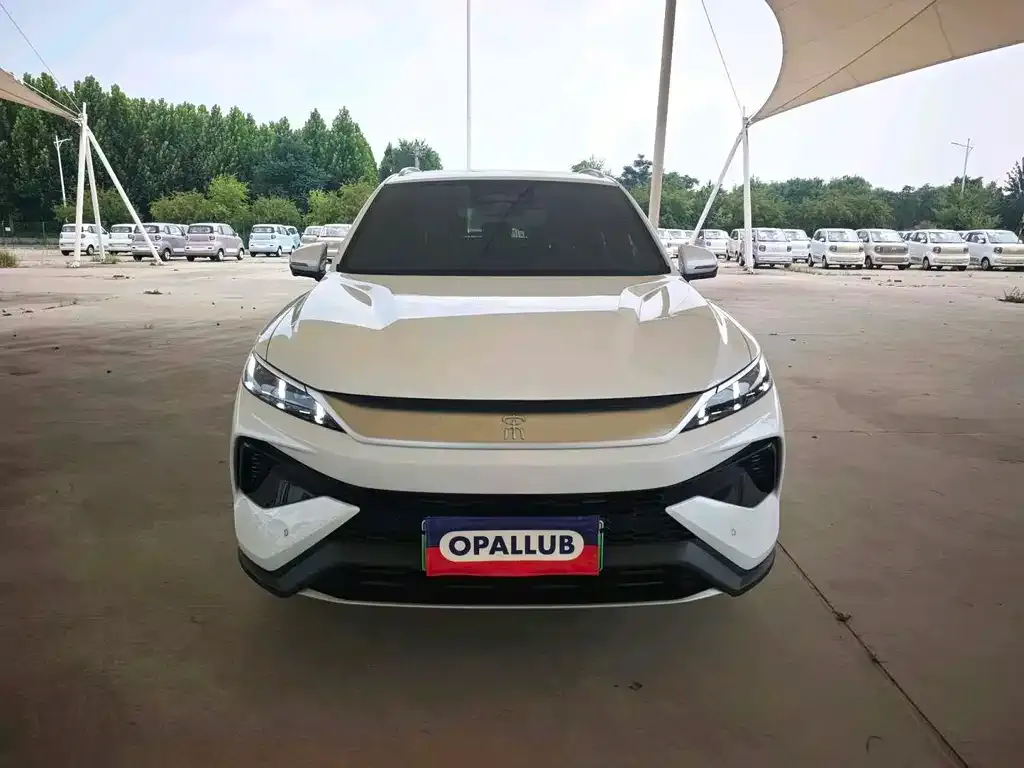 BYD Pro New Energy — фото 2