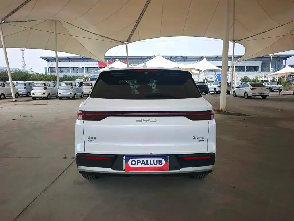 BYD Pro New Energy — фото 4