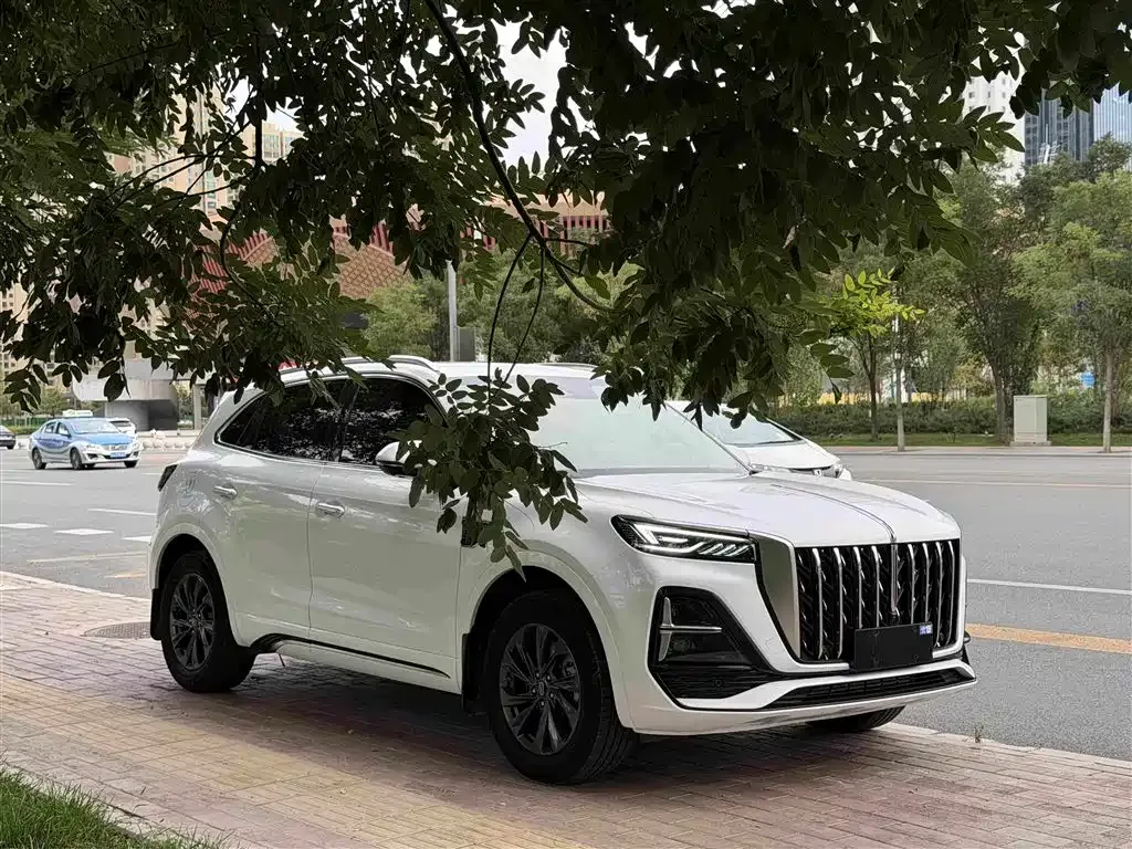 Hongqi HS5 2024 из CN, фото 5