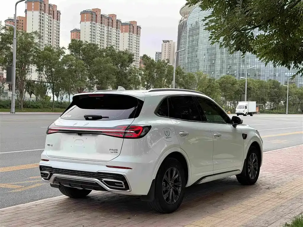 Hongqi HS5 2024 из CN, фото 7