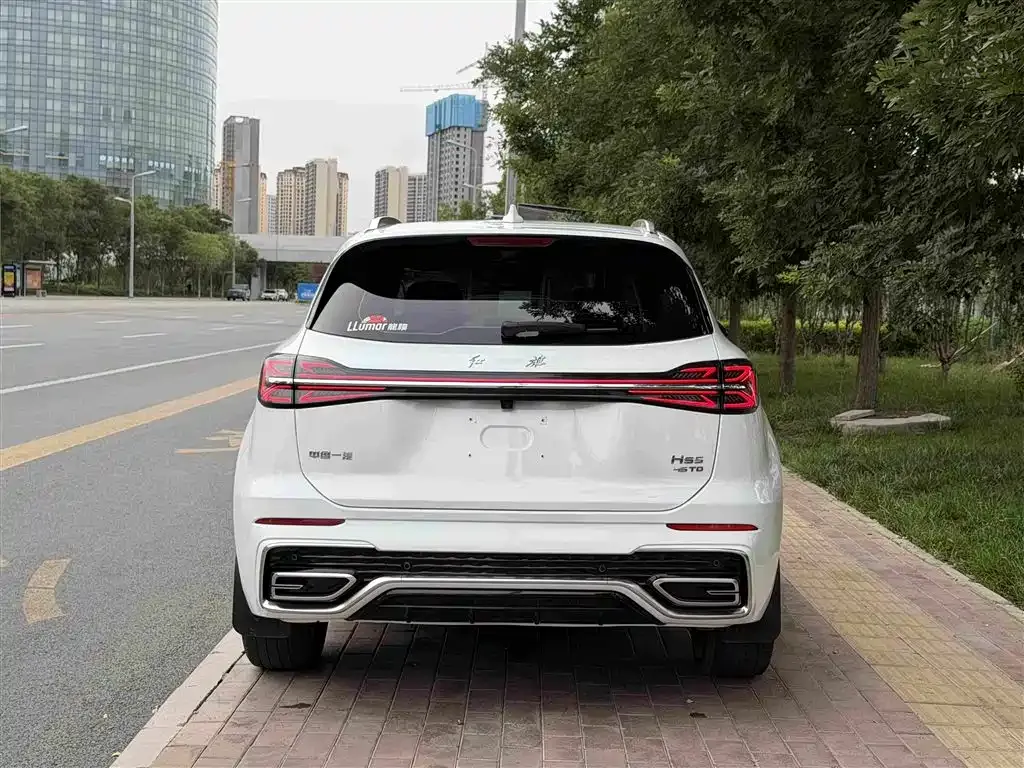 Hongqi HS5 2024 из CN, фото 4