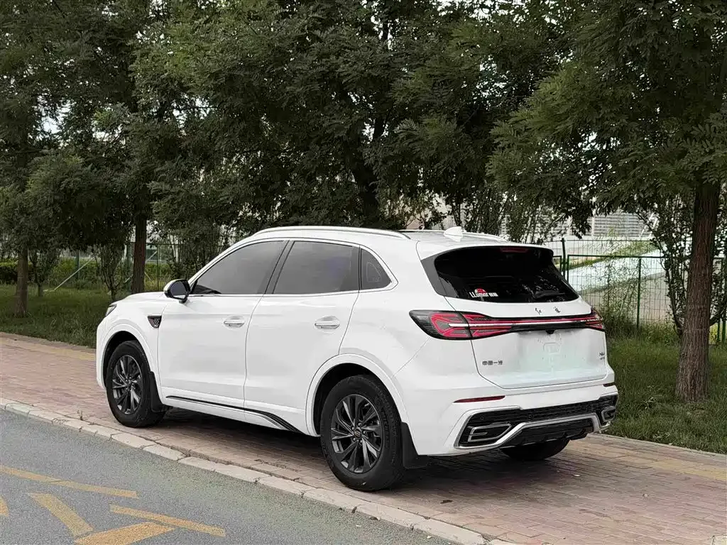 Hongqi HS5 2024 из CN, фото 6
