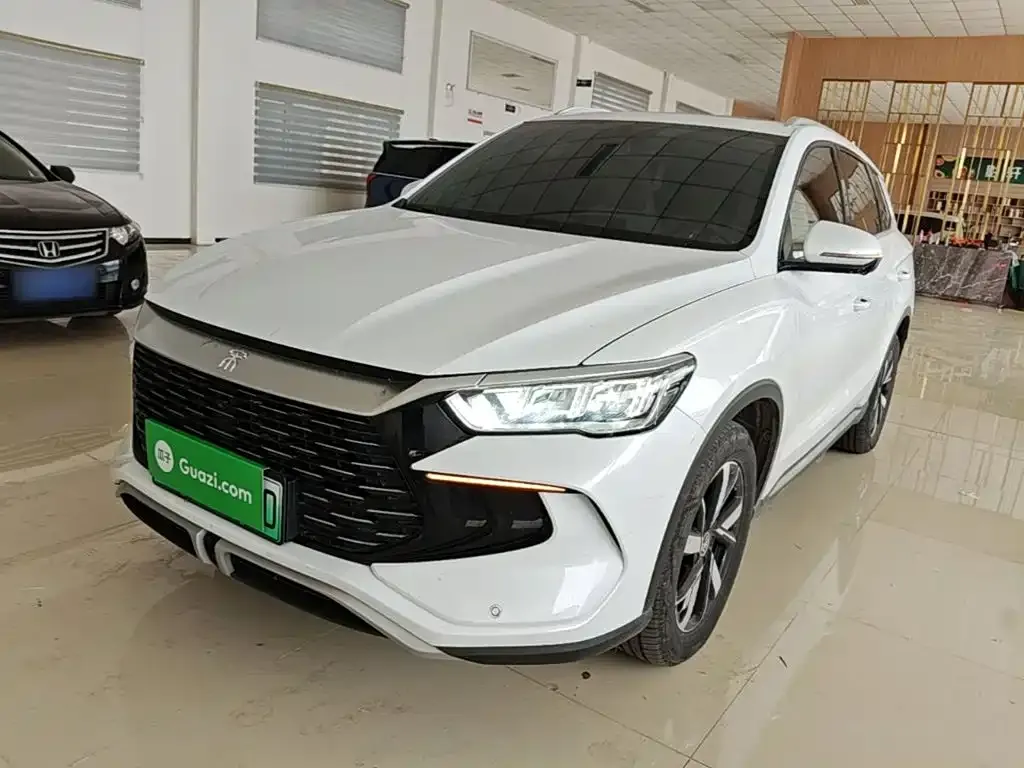 BYD Pro New Energy — фото 1