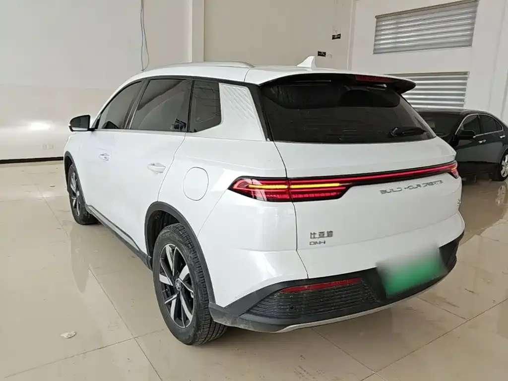 BYD Pro New Energy — фото 7