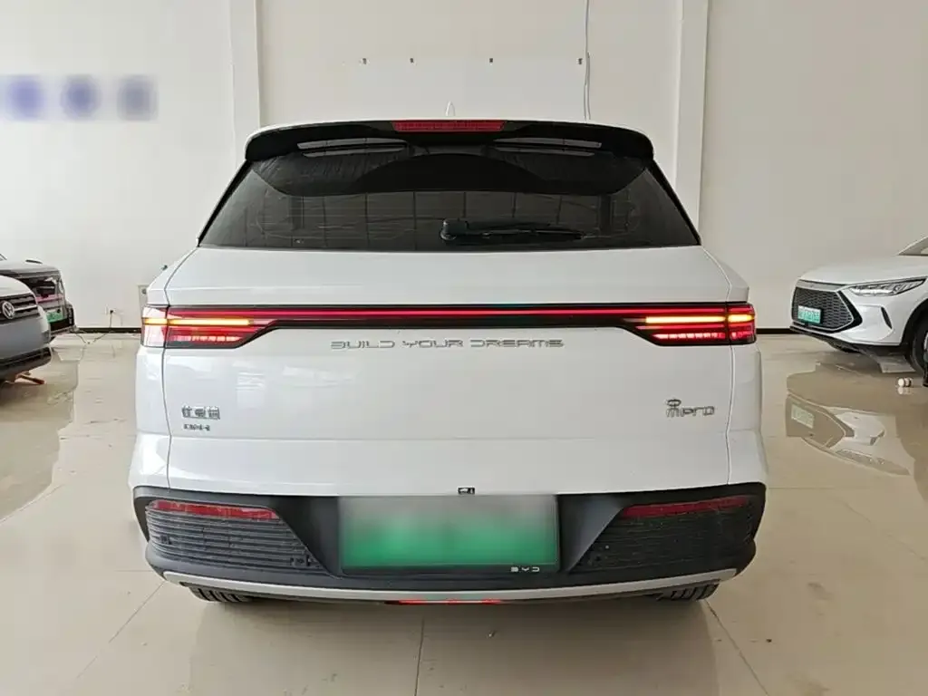 BYD Pro New Energy — фото 4