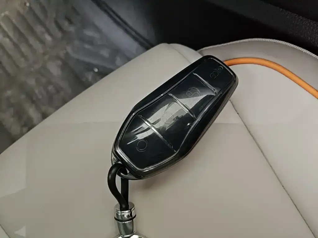 BYD Pro New Energy — фото 3