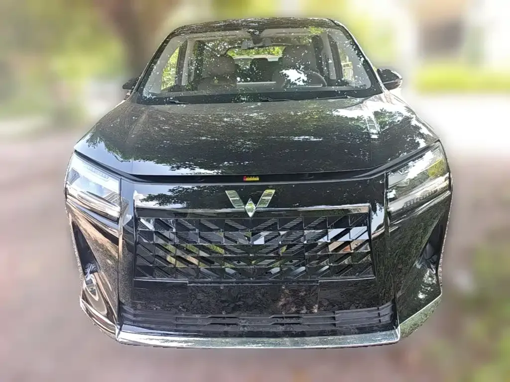 Wuling Starlight 730 New Energy — фото 9