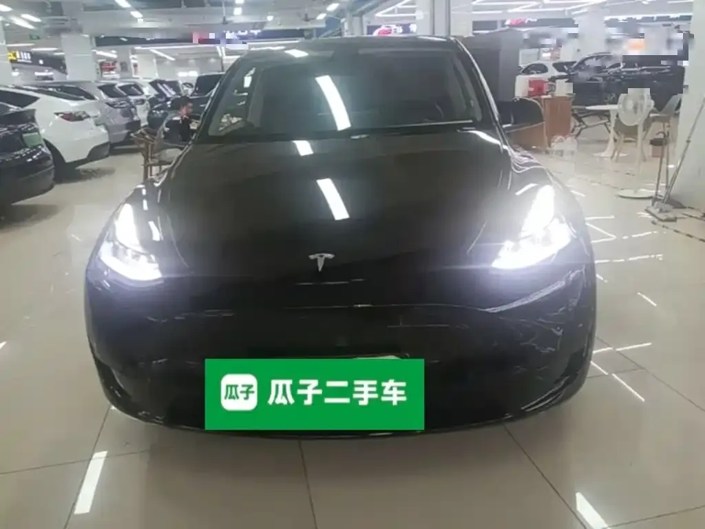 Tesla Model Y — фото 10