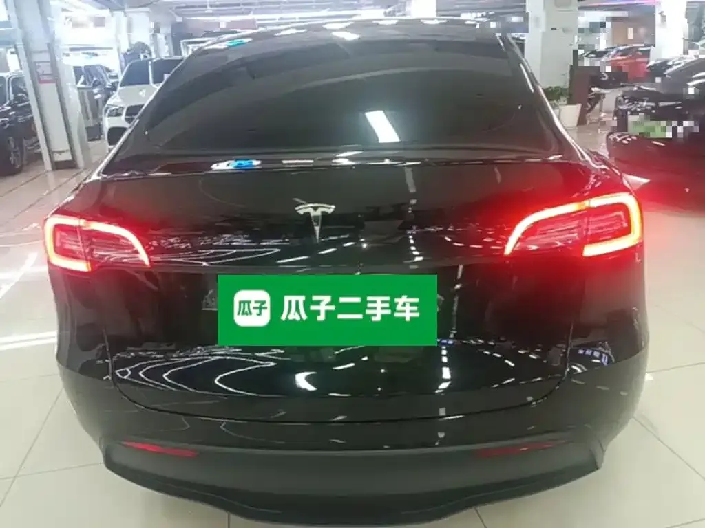 Tesla Model Y — фото 8