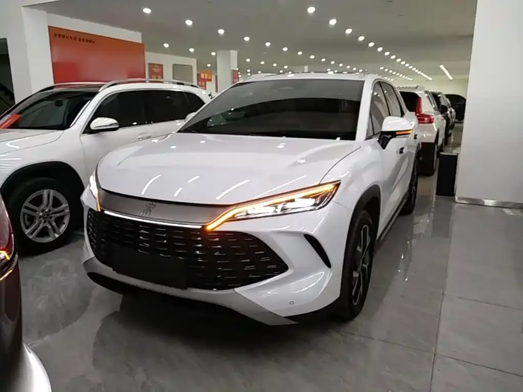 BYD L DM-i — фото 4