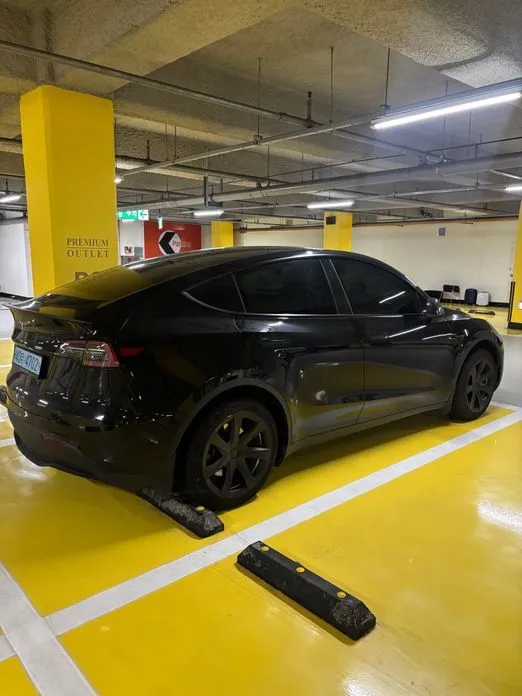 Tesla Model Y — фото 2
