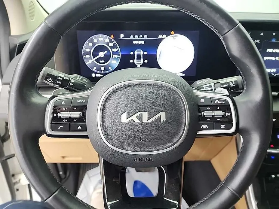 Kia Carnival — фото 10