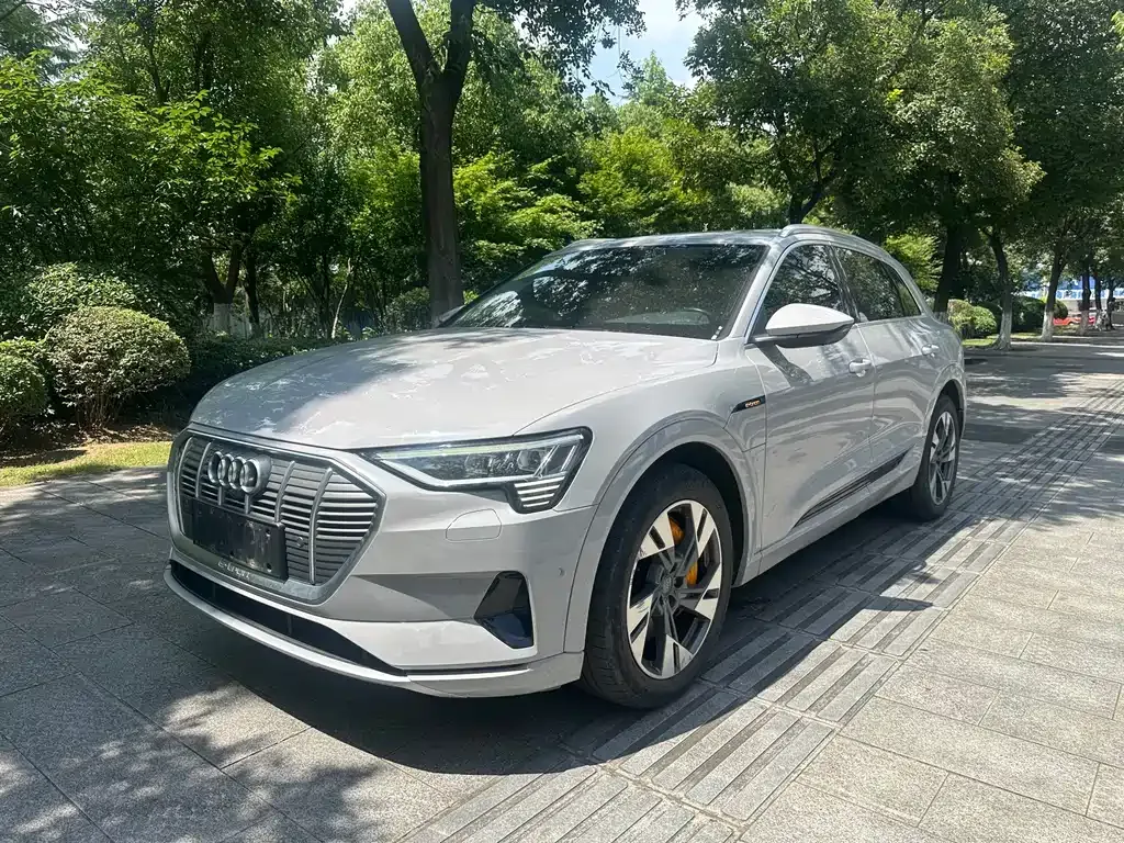 Audi e-tron (Import) — фото 1