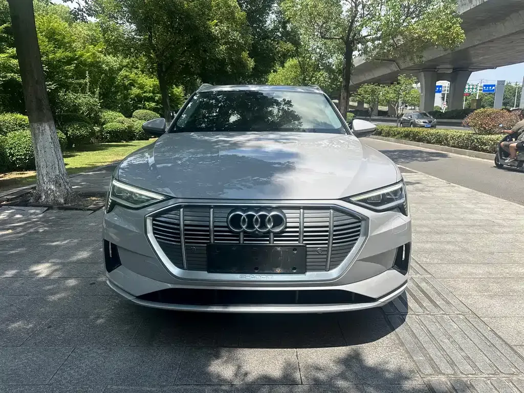 Audi e-tron (Import) — фото 10