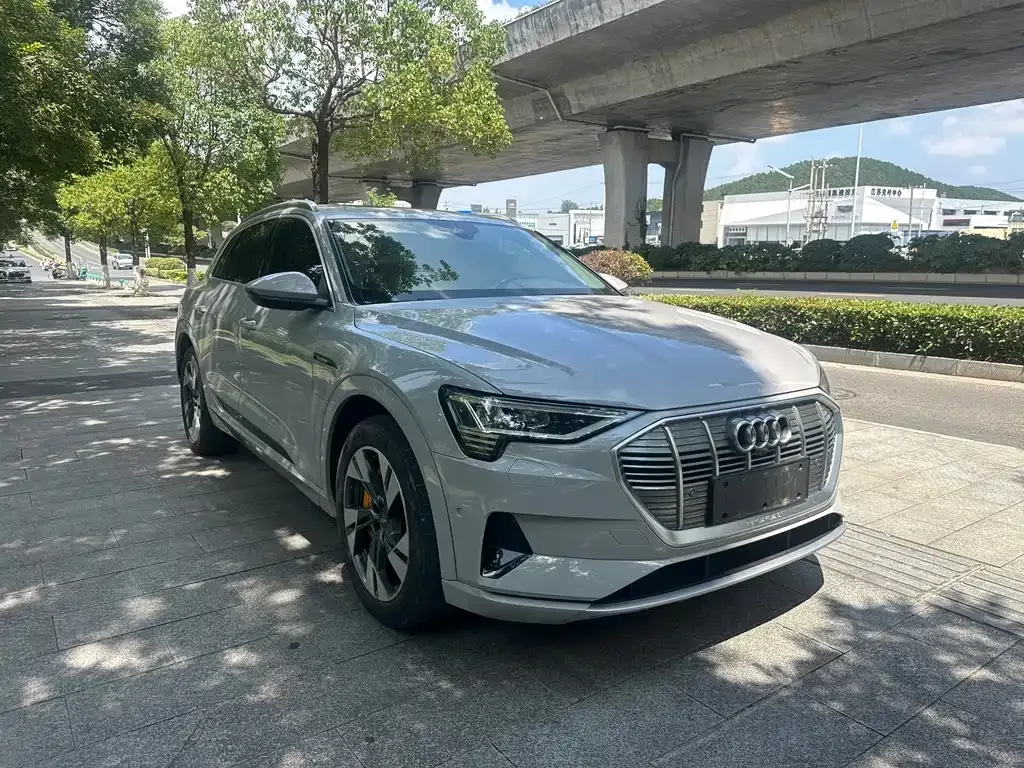 Audi e-tron (Import) — фото 9