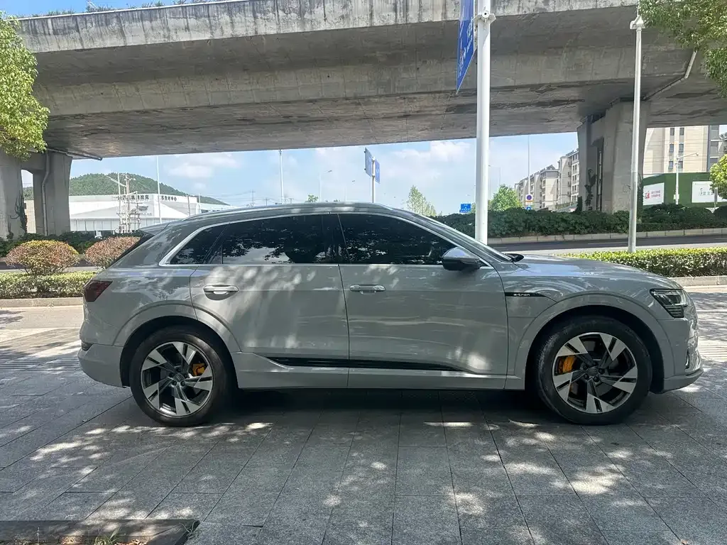 Audi e-tron (Import) — фото 6